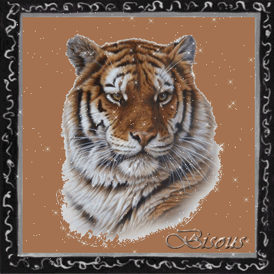 Tigre
