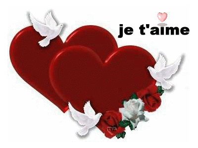 Je t'aime mon coeur